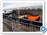 Samedi 10 et dimanche 11 octobre 2015 : Exposition de caisses carres  la foire des Sorinires