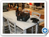 4 au 14 novembre 2015 : Exposition au Leclerc Atout Sud de Rez organis par l'Atelier du Temps et avec la participation de quelques adhrents de l'AVAS