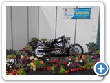 8-9 octobre 2016 : Exposition  la Foire des Sorinires : Les AMERICAINES